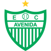 Avenida logo