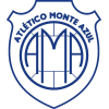 Monte Azul logo