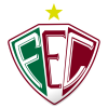 Fluminense Piaui U20 logo