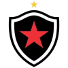 Botafogo Pb U20 logo