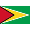 Guyana U20 W logo