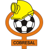 Cobresal logo