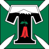 Deportes Temuco logo