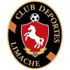 Limache logo