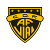 Arturo Fernandez Vial logo