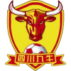 Sichuan Jiuniu logo