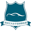 Wuhan Jiangda W logo