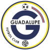 Guadalupe logo