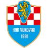 Vukovar 1991 logo