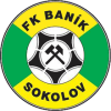 Sokolov logo