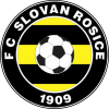 Rosice logo