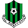 Rokycany logo