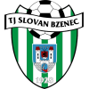 Bzenec logo