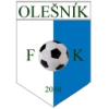 Olesnik logo