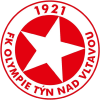 Tyn Nad Vltavou logo