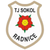 Sokol Radnice logo