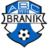 Branik logo