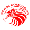 Domousice logo