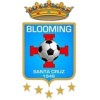 Blooming logo