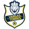 Vargas Torres logo