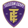 Telecom Egypt logo