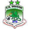 Dragon logo