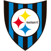 Huachipato U20 logo