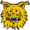 Ilves logo