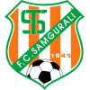 Samgurali logo