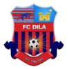 Dila Gori logo