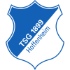 Hoffenheim logo