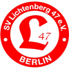 Lichtenberg logo