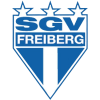 Freiberg logo