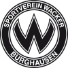 Burghausen logo