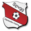 Hankofen-Hailing logo