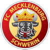 Schwerin logo