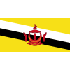 Brunei logo