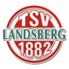 Landsberg logo