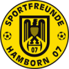 Hamborn logo