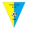 Teskand logo