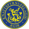 Aegir logo