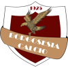 Borgosesia logo