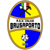 Brusaporto logo