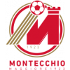 Montecchio Maggiore logo