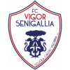 Vigor Senigallia logo