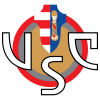 Cremonese U19 logo