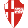 Padova U19 logo