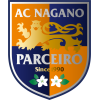 Nagano logo