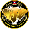 Young Elephant logo