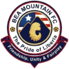 Bea Mountain logo